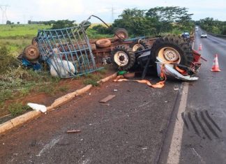 Caminhão que transportava bovino e trator capota na BR-364 e deixa dois feridos