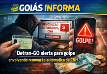 Detran-GO alerta para golpe envolvendo renovação automática da CNH